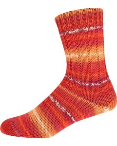 Supersocke 6-Ply Merino Style 342 -  (Color #2875)