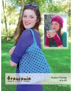 Beanie Hat, Wrist-warmers & Beach Bag - Free Download with Huasco Chunky Purchase of 4 or more skeins