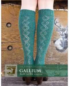 Gallium Knee Socks by Pamela Wynne - Herriot Fine Pattern