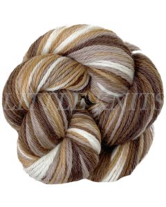Cascade 220 Superwash Sport Multi - Snowy Woods (Color #107) - 3 Skeins for Quick Socks