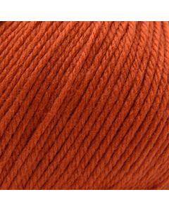 Cascade 220 Superwash - Pureed Pumpkin (Color #366)