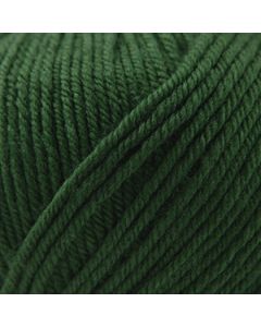 Cascade 220 Superwash - Army Green (Color #801)