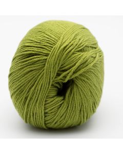 BC Garn Alba - Green (Color #43)