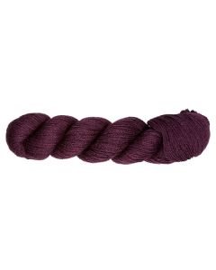 Amano Ayni - Purple Corn (Color #5004)