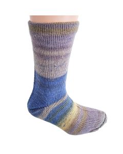 Berroco Sox - Historical Fiiction (Color #14227) on sale at 50% off at Little Knits