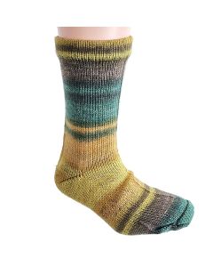 Berroco Sox - Sci-Fi (Color #14232) on sale at 50% Off at Little Knits
