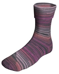 Berroco Sox - Rhine (Color #14101) on sale at 50% off at Little Knits