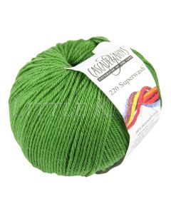 Cascade 220 Superwash - Mint Green (Color #254)