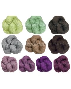 !Ella Rae Chunky Merino Superwash - MYSTERY BAG (TEN Skeins, 4,3,3 Color Split) - Each bag will be different than the pic