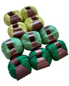 Ella Rae Cozy Soft Chunky Mystery Bag of Greens - 10 Skein Bag of 3/3/4 Skein Color Selection