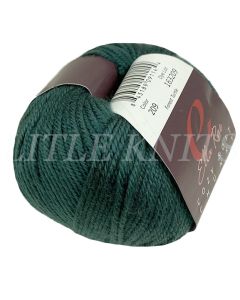 Ella Rae Cozy Soft CHUNKY - Forest Turtle (Color #209)