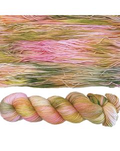 Dream in Color Butterfly BFL - Guava Nice Day