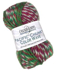 !!!!!!!Cascade Pacific Chunky Color Wave - Holidaze (Color #413) - FULL BAG SALE (5 Skeins)