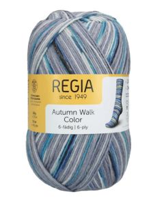 Regia 6-ply Autumn Walk Color Pumpkin Patch Color 4902