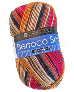 Berroco Sox - Applecross (Color #14108) on sale at 50% off at LIttle Knits