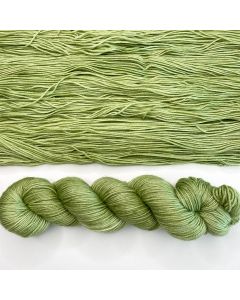 Dream in Color Smooshy with Cashmere - Sprout (Color #077)