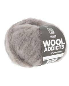 Wooladdicts Trust - Pewter (Color #96)