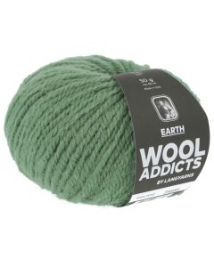 Wooladdicts Earth Sage Color 92